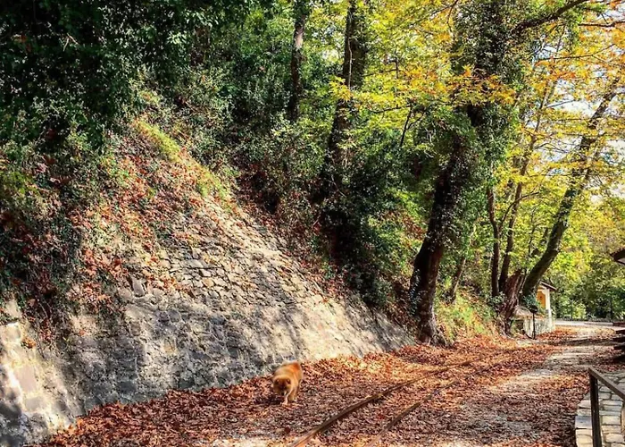 Villa Melithos Koropi